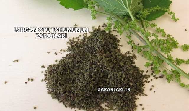 Isırgan Otu Tohumunun Zararları