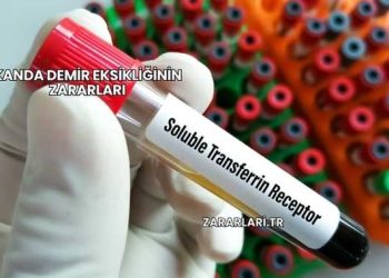 Kanda Demir Eksikliğinin Zararları