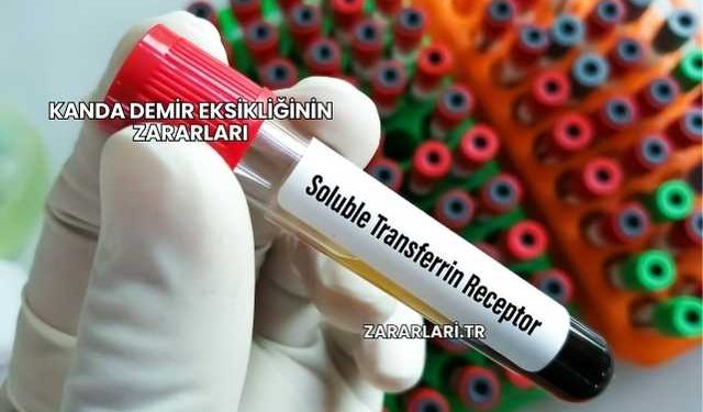 Kanda Demir Eksikliğinin Zararları