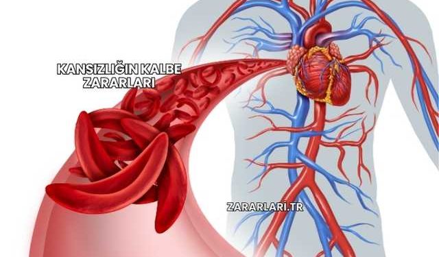 Kansızlığın Kalbe Zararları