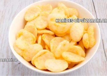 Karides Cipsi Zararları