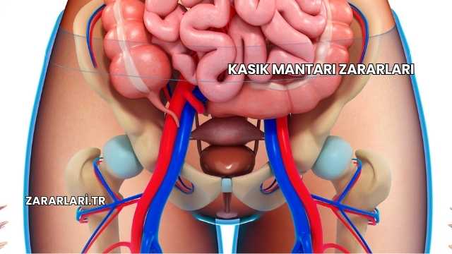 Kasık Mantarı Zararları