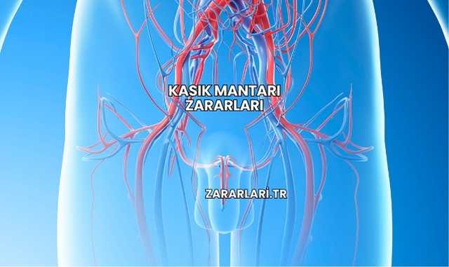 Kasık Mantarı Zararları