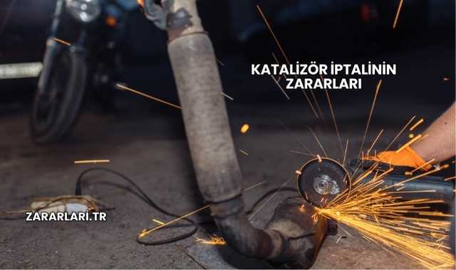 Katalizör İptalinin Zararları