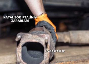 Katalizör İptalinin Zararları