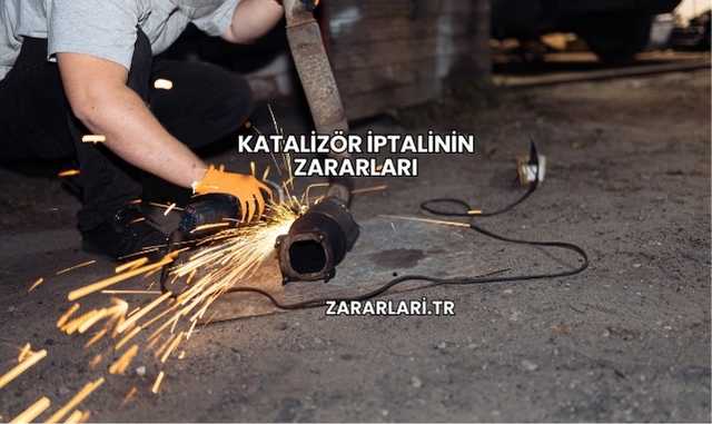 Katalizör İptalinin Zararları