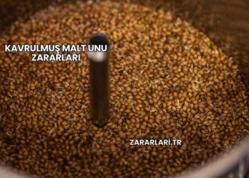 Kavrulmuş Malt Unu Zararları