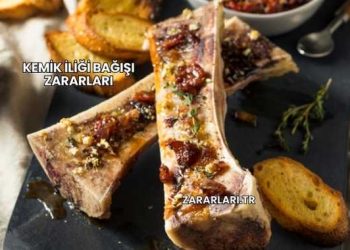 Kemik İliği Bağışı Zararları