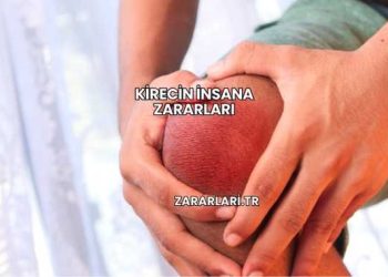 Kirecin İnsana Zararları