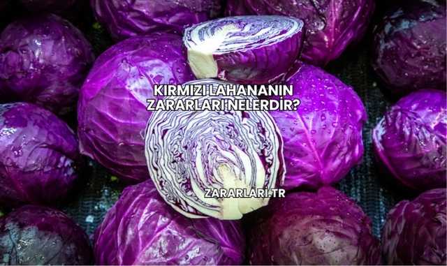 Kırmızı Lahananın Zararları Nelerdir?