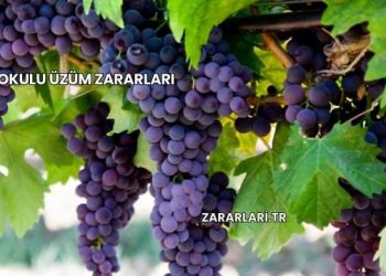 Kokulu Üzüm Zararları