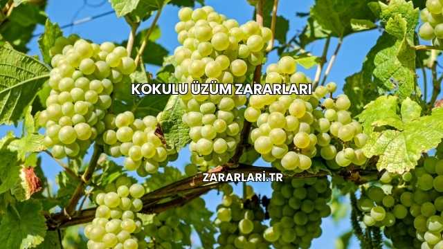Kokulu Üzüm Zararları