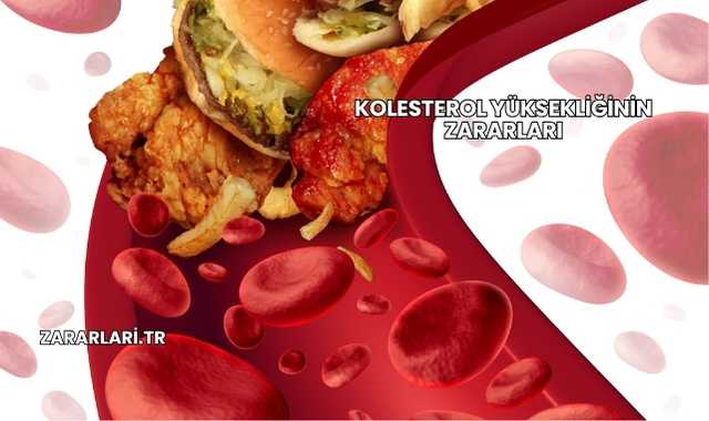Kolesterol Yüksekliğinin Zararları