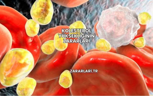 Kolesterol Yüksekliğinin Zararları
