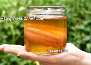Kombu Çayının Zararları