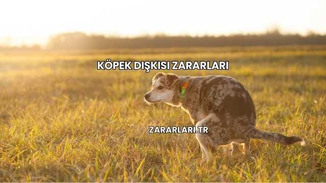 Köpek Dışkısı Zararları