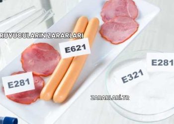 Koruyucuların Zararları