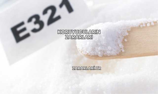 Koruyucuların Zararları