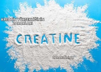 Kreatin Yüksekliğinin Zararları