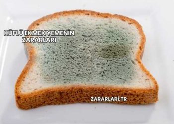 Küflü Ekmek Yemenin Zararları