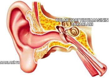 Kulak Zarı Yırtılmasının Zararları