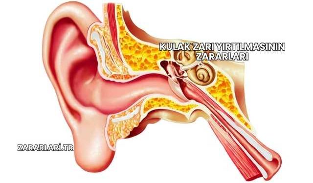 Kulak Zarı Yırtılmasının Zararları