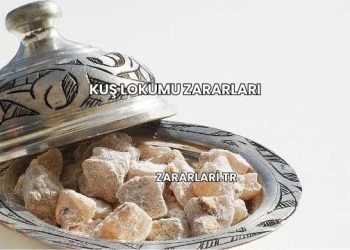 Kuş Lokumu Zararları