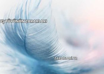 Kuş Tüyünün Zararları