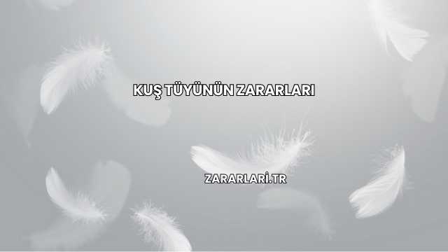 Kuş Tüyünün Zararları