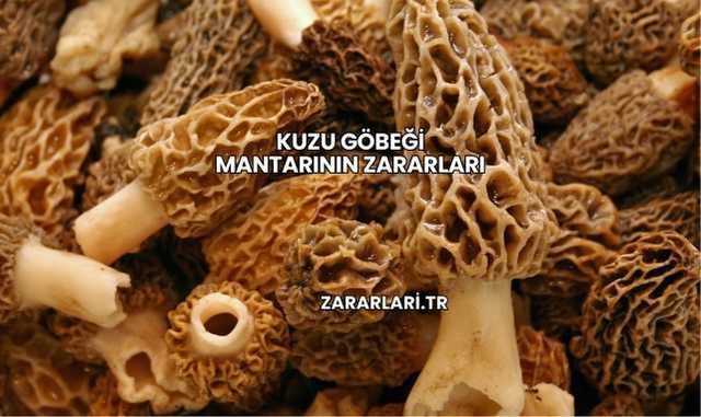 Kuzu Göbeği Mantarının Zararları