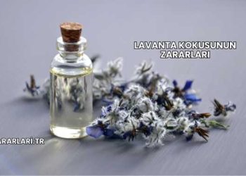 Lavanta Kokusunun Zararları
