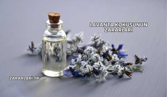 Lavanta Kokusunun Zararları