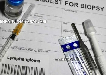 Lenfanjiom Zararları