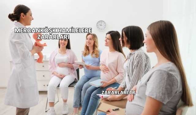 Mercanköşk Hamilelere Zararları
