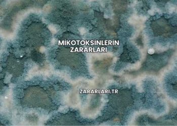 Mikotoksinlerin Zararları