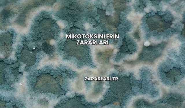 Mikotoksinlerin Zararları