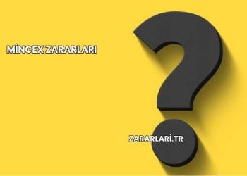 Mincex Zararları