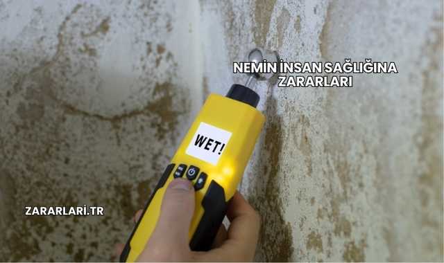 Nemin İnsan Sağlığına Zararları