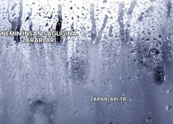 Nemin İnsan Sağlığına Zararları