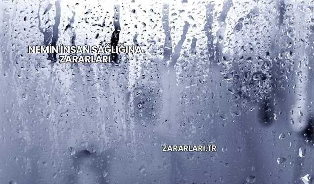 Nemin İnsan Sağlığına Zararları