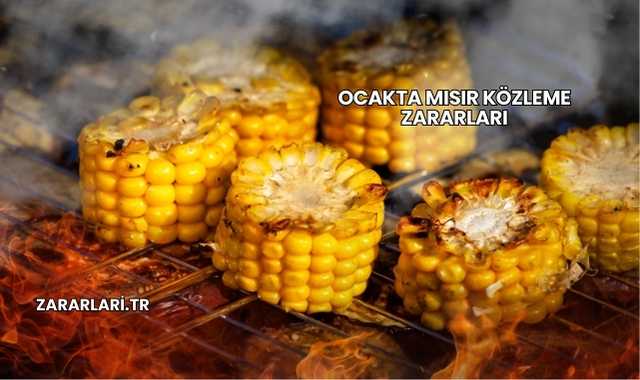 Ocakta Mısır Közleme Zararları