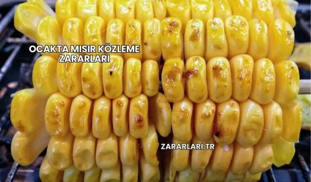 Ocakta Mısır Közleme Zararları