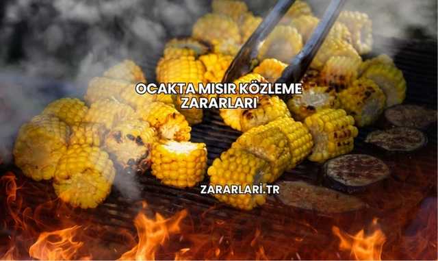 Ocakta Mısır Közleme Zararları