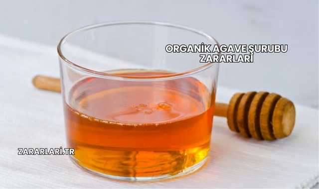 Organik Agave Şurubu Zararları