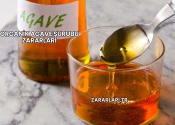 Organik Agave Şurubu Zararları