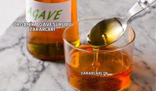 Organik Agave Şurubu Zararları