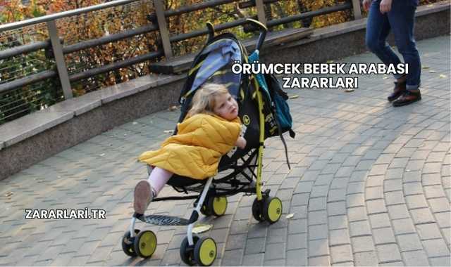 Örümcek Bebek Arabası Zararları