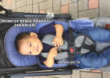 Örümcek Bebek Arabası Zararları