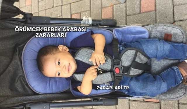 Örümcek Bebek Arabası Zararları
