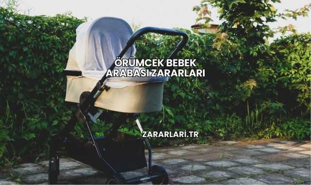Örümcek Bebek Arabası Zararları
